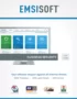Emsisoft Business Security 3 Windows Endpoint