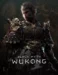 Black-Myth-Wukong